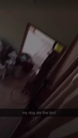 not trying to start drama so do not go to this girls page to bully her just want to educate on this topic to prevent this from happening again