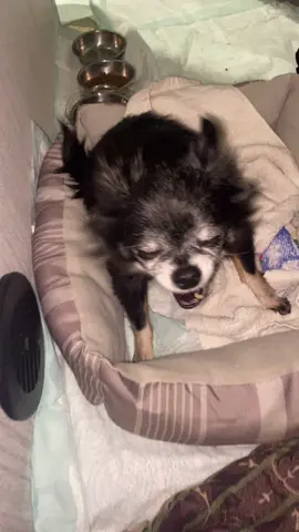 Stay tuned for YouTube vlogs!!!! Coming this month 🥳❣️I LOVE YOU ALL