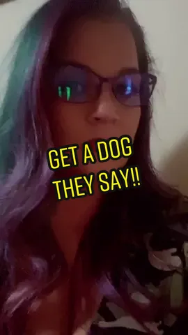 Get a dog they say!!     #dogsoftiktok #funnydog #bostonterrier #fyp #foryou