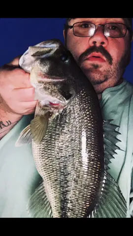 The usual again bass This time #fish #foryou #Love #VideoSnapChallenge