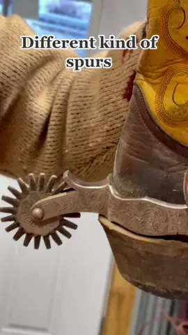 #fyp #foryoupage #horsemanship #spurs #horses #horsetrainer #cowboytictok