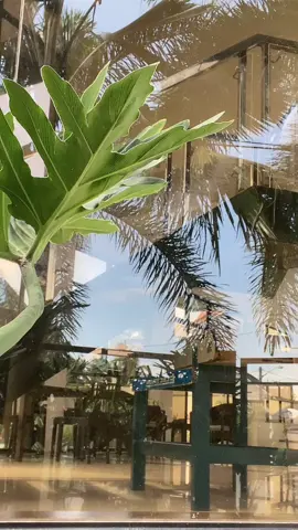 pati cellphone ko nafall na kay N 😭