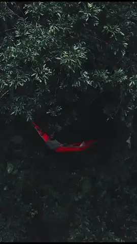 #jungle #hammock #nature
