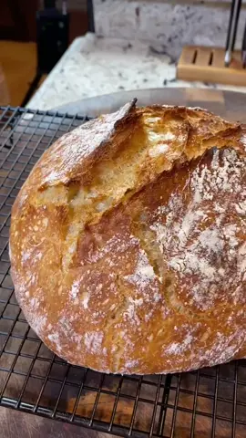 Freshly Baked Artisan-Style Bread #foodontiktok #whenwomenwin #nokneadbread #homecook #cookingwithshereen