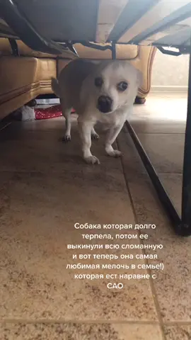 #чих #сао
