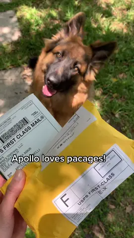 #fyp #foryou #pacage #usp #fedex #amazon