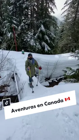 The most beautiful hike EVER! Come & join me 🇨🇦😍 #fyp #adventure #canada #vancouver