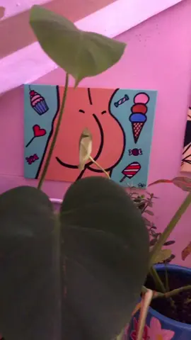 brb gonna smoke myself 2 sleep in my sanctuary 🍃✨ #dabs #yum #fyp #imtoasted #plants #art #flowers