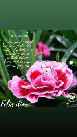 🌺A todas las mujeres del mundo queremos desearles todos los días un feliz día.🌸#felizdia#felizdiatodoslosdias #guerreras#08marzo #viral