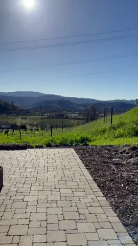 My Napa views 😍 #napa #travel #visit #fyp