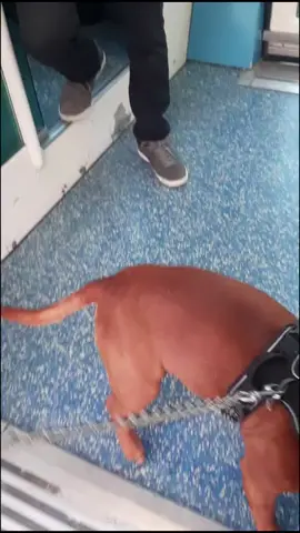 MES NOUVELLES  LUNETTES 😭😭😭😭