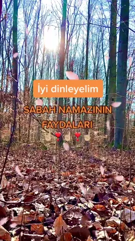 #beğenmedengeçme #sabahnamazı #faydaları #faziletleri #dinivideolar #takippp #beğeni #keşfettttttttt #ilahiler #hadisler #kurandanayetler
