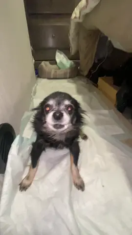 Some words of wisdom 😁