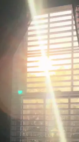 mornings make me :)))))