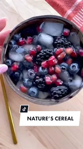 Had to hop on the Nature’s Cereal trend | recipe by @natures_food ✨ #naturescereal #fruit #foodontiktok