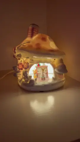 submitting an application to live inside my nightlight