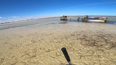 #Blueswimmers #savemodifedve￼hicles #crabbing #Blueswimmercrabs #safishing #SouthAustralia #madMax #ummannedaerialvehicle #crab #crabs #seafood ￼