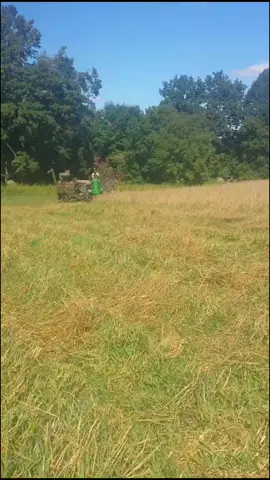 1945 A and 1951 25 combine #johnnypopper #antiquetractor #twocylinder #fyp #greenpower #workingtractors #farming #johndeere