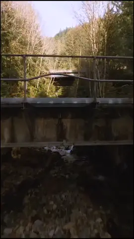 Exploring a creek with a drone #sounddesign #outdooradventure #exploremore #cinematicfpv #fpvdrone #youmustsee #exploremore #foryou #tiktok #fyp
