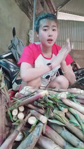 nhà mình không có gì ngoài măng