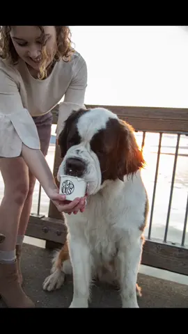 Ran into Elsie from the upcoming Peter Pan live action! She approves! #foryou #Elsie #rolledicecream #business #cryorolls #SmallBusiness @jw_saints
