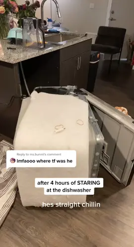 Reply to @ms.bunnii #nowlookatthis #againstallodds #lizard #dayinmylife #foryou