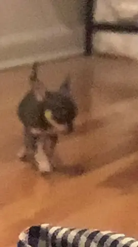 The recommended song💀💀💀