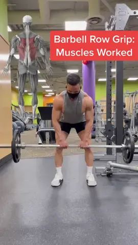 Muscles worked for each barbell rows grip #barbellrow #barbellrows #barbellrowtutorial #barbellrowing #bentoverbarbellrowing #bentoverrows