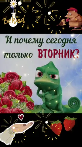 Утро вторника #улыбнись #юмор