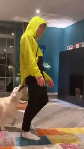 🧡 #landonorris #formula1 #f1 #mclaren #funny #fail #dog #f1tiktok #fyp #foryoupage #foryou