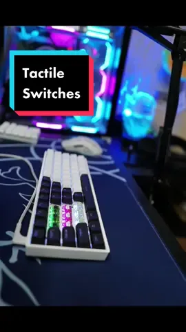 Kiwis, Dragonfruits, Box Jades, what’s next? #tactile #switches #customkeyboard #asmr #satisfying #soundtest #kiwis #dragonfruits #jades