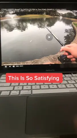 #satisfying #fishing #bass #bassfishing #Outdoors #sport #hookset #fish #fyp #foryoupage #fy