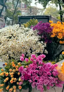 Hà Nội yên bình và vẫn rất thơ đúng không, mọi người thích điều gì nhất ở Hà Nội? #todidau #tiktok #tiktoktravel #hanoi #dulich #dulichtiktok