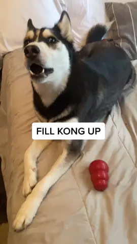all that for more treats 😅