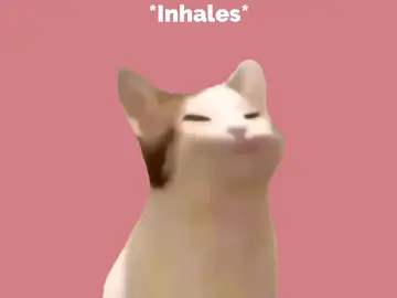 send this to someone as an apology :) #sorry #sosorry #apology #sendthistosomeone #sendthistosomeoneasasorry