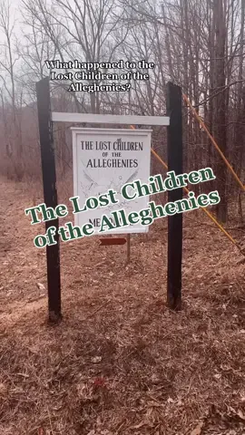 Always thought the farmer was guilty. #hauntedhistory #atlasobscura #imler #altoona #creepy #taphophile #scaryplacestogo #foryou #thisplacespookyaf