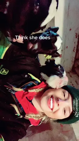 #youngfarmer #countrylife #agrigirl #countrywoman #argigirl #TestReadyChic #JDAirMaxYourWay #GoBoldColorista #farminguk #cows #calves #agriculture #