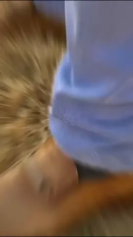 Tujhe dekha to ye Jana Sanam 💞💞💞 #foryou #fyp #foryoupage #umairrajput