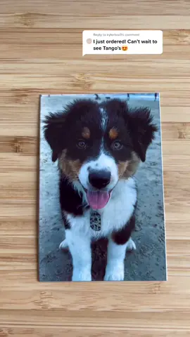 Reply to @kylerbro3 #dogsoftiktok #puppydog #embroidery #MarchMadness #hellospring