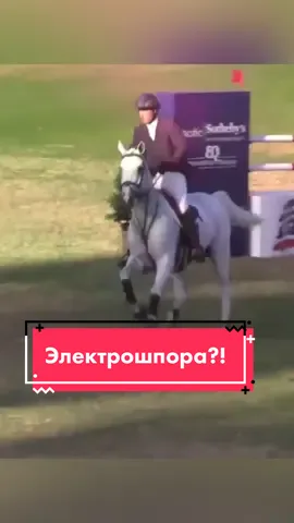 #лошадь #конныйспорт электрошпора?! жесть какая-то