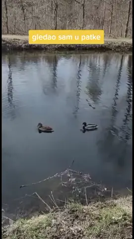 #stitch with @jabumbi @perovicmoto