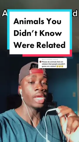 Reply to @sm00thjas #LearnOnTikTok #animals#nature