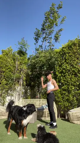 im bored who can i follow