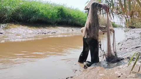 cách chài cá miền tây quê Thúy nè #cothuymientay