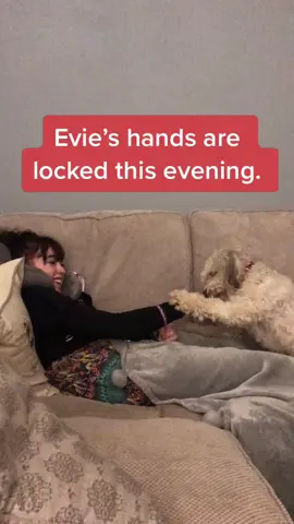 Just a good boy 😍#foryoupage #Tourettes @thistrippyhippie