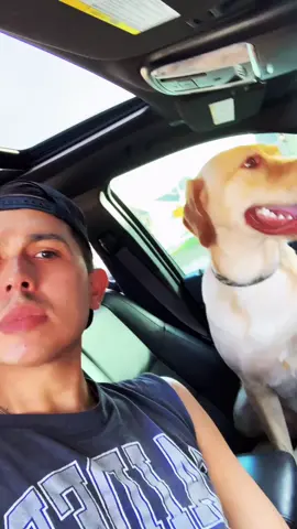 You got us beggin.....#nationalpuppyday