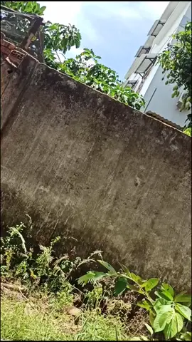 không nên trộm cắp🥺 #xoainhahangxom