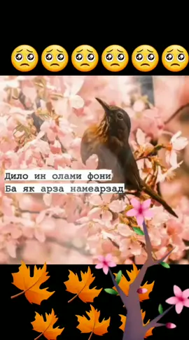 эх дунёи бевафо 😔😔😔🥺🥺
