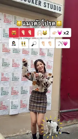 #แมวตัวโปรด อย่าลืมมาเต้นกันนะ 😺💗