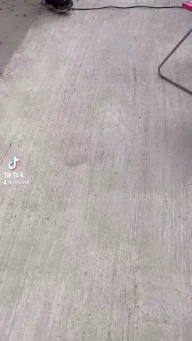 NORMAN THE DANCING EUROPIAN EAGLE OWL#birdsoftiktok #owlsofgahoole #besttiktokdancer #dancinganimals #dancinganimals #owls #zoosoftiktok #berkshire